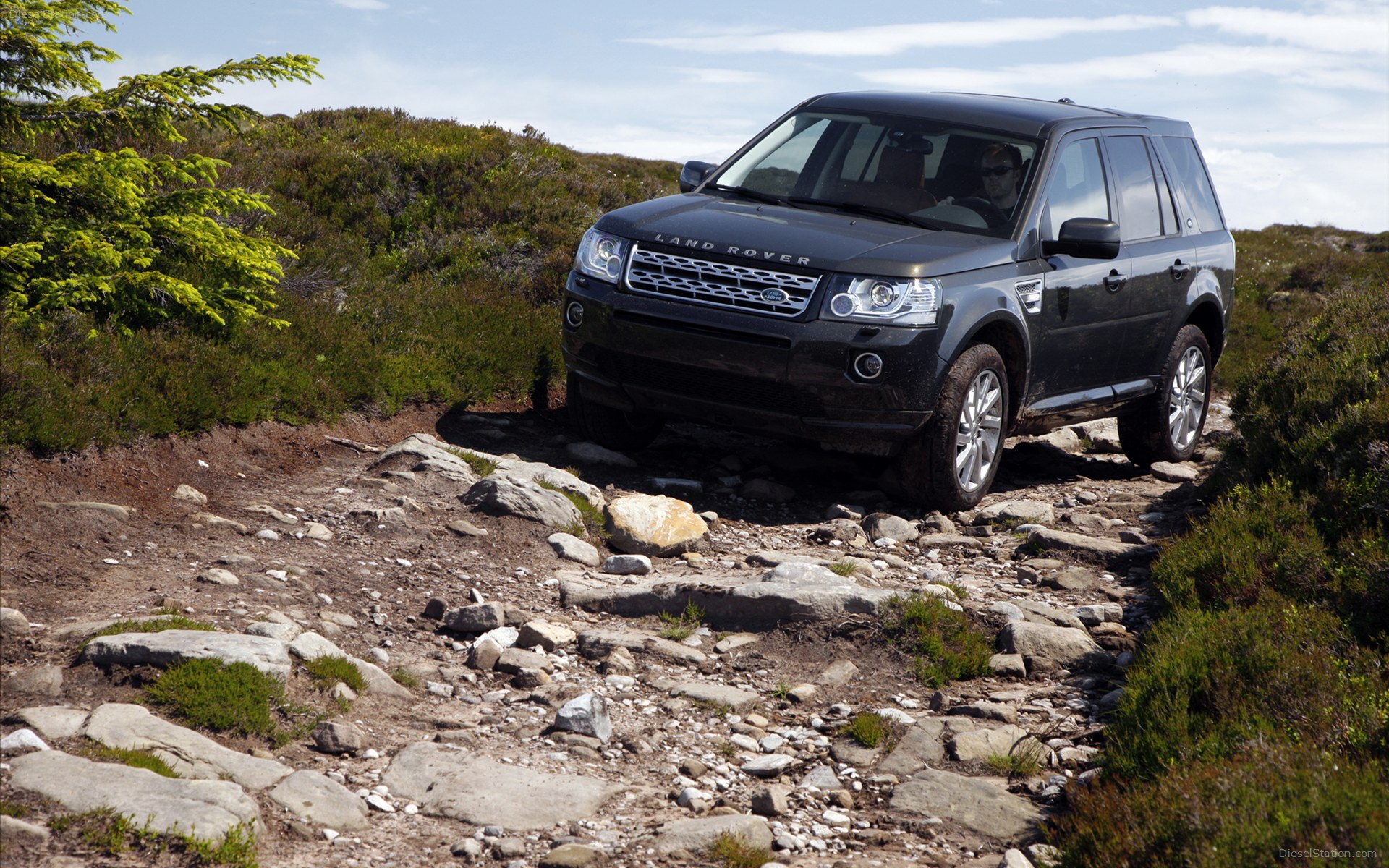 Land Rover Freelander 2 2013